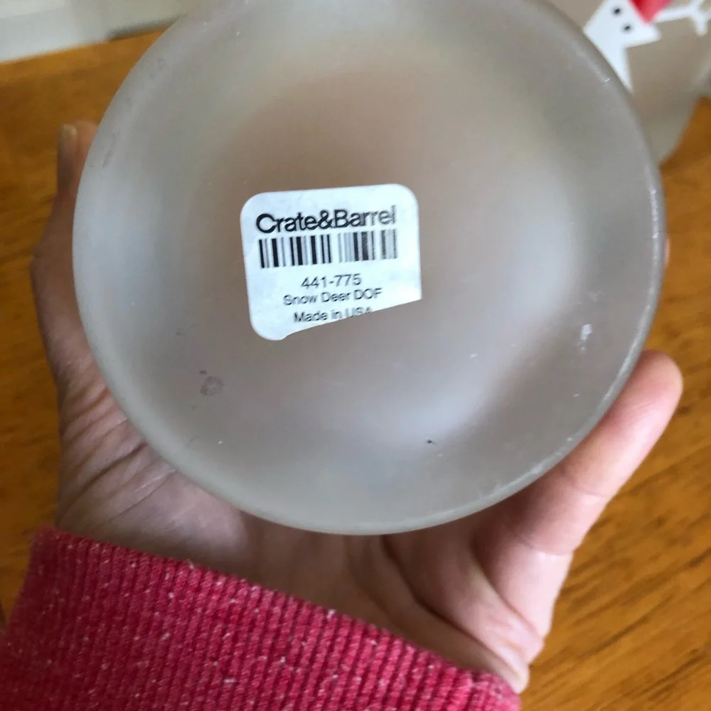 NWT 4 frosted glasses- Crate&Barrel